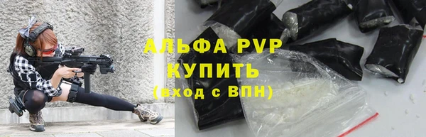 стаф Алексин
