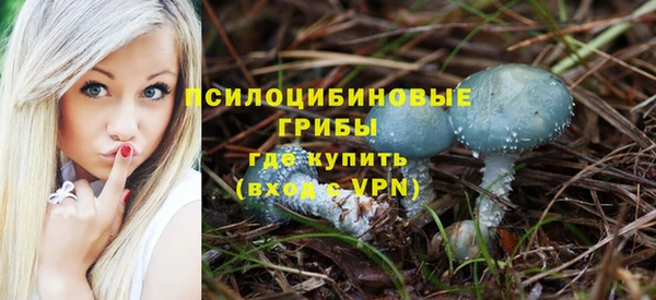 ГАЛЛЮЦИНОГЕННЫЕ ГРИБЫ Алзамай