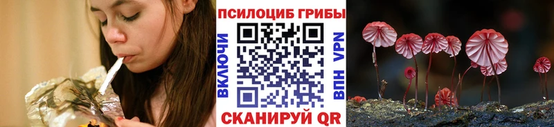купить  сайты  KRAKEN ссылки  Псилоцибиновые грибы MAGIC MUSHROOMS  Любань 